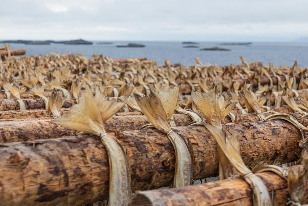 Lofoten Holiday คาเบลว็อก ภายนอก รูปภาพ